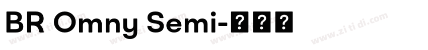 BR Omny Semi字体转换